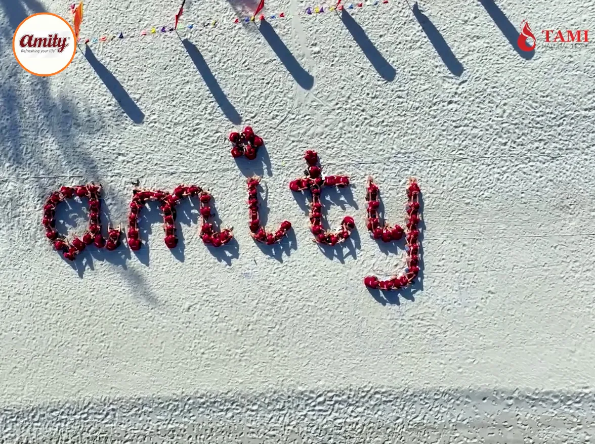 AMITYY 